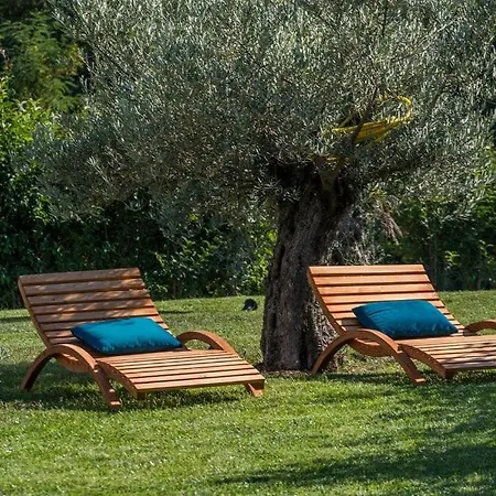 New! Corinne With 42 M2 Pool, Sauna Vila *